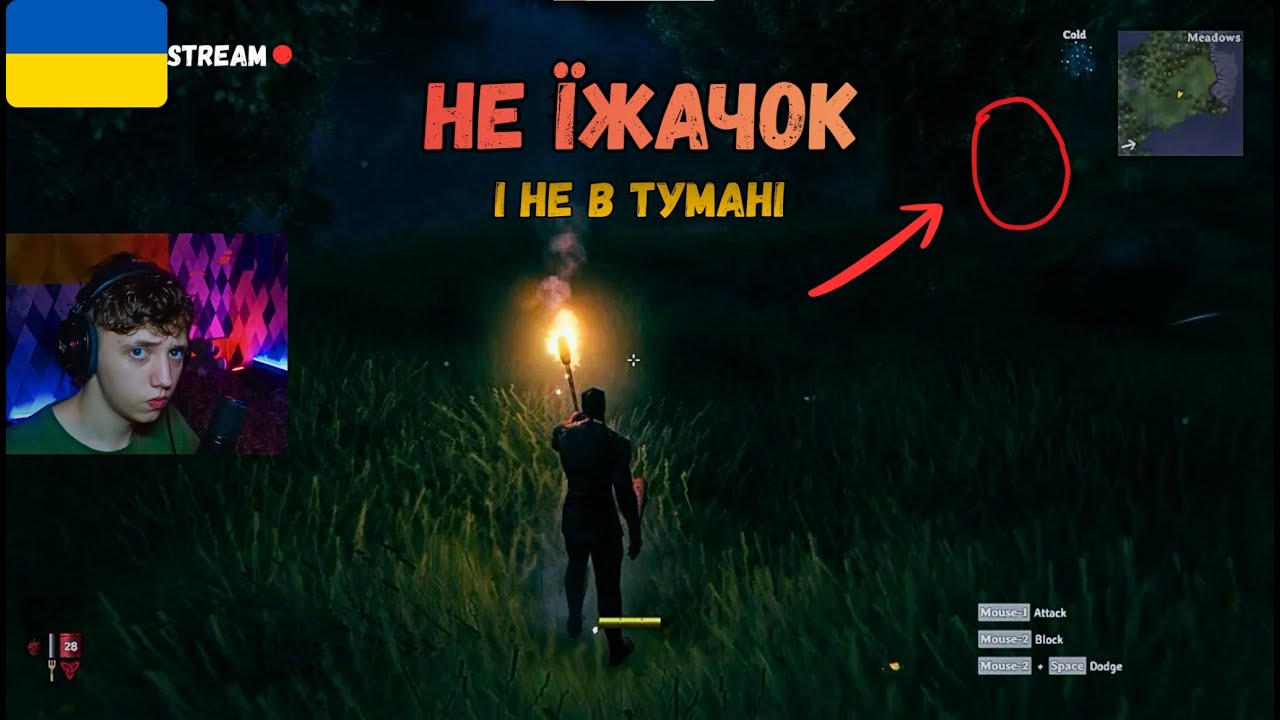 НІЧНІ ПРИГОДИ В Valheim!