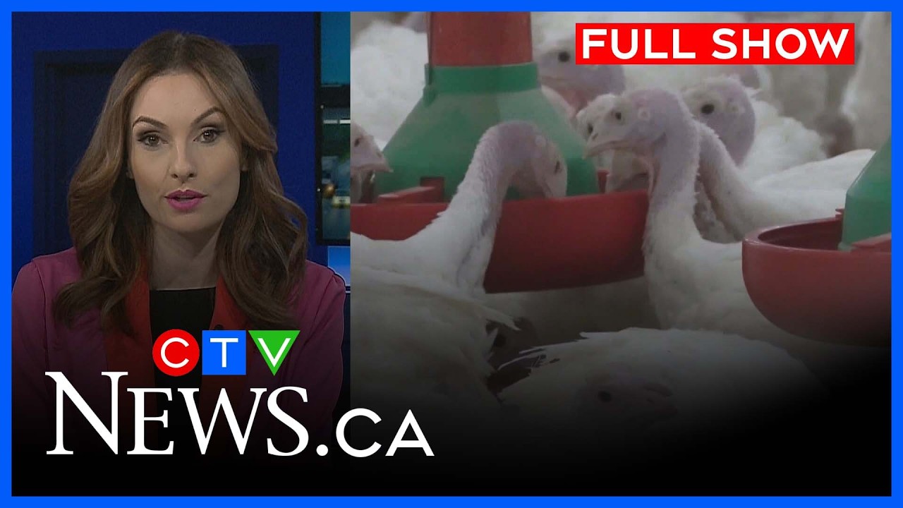 Confirmed case of avian flu | CTV News Windsor at Six for Feb. 24, 2026