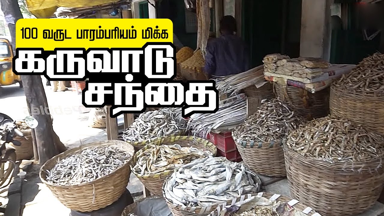 கருவாடு சந்தை । Biggest Dry Fish wholesale Market in Chennai । Moolakothalam | North Chennai