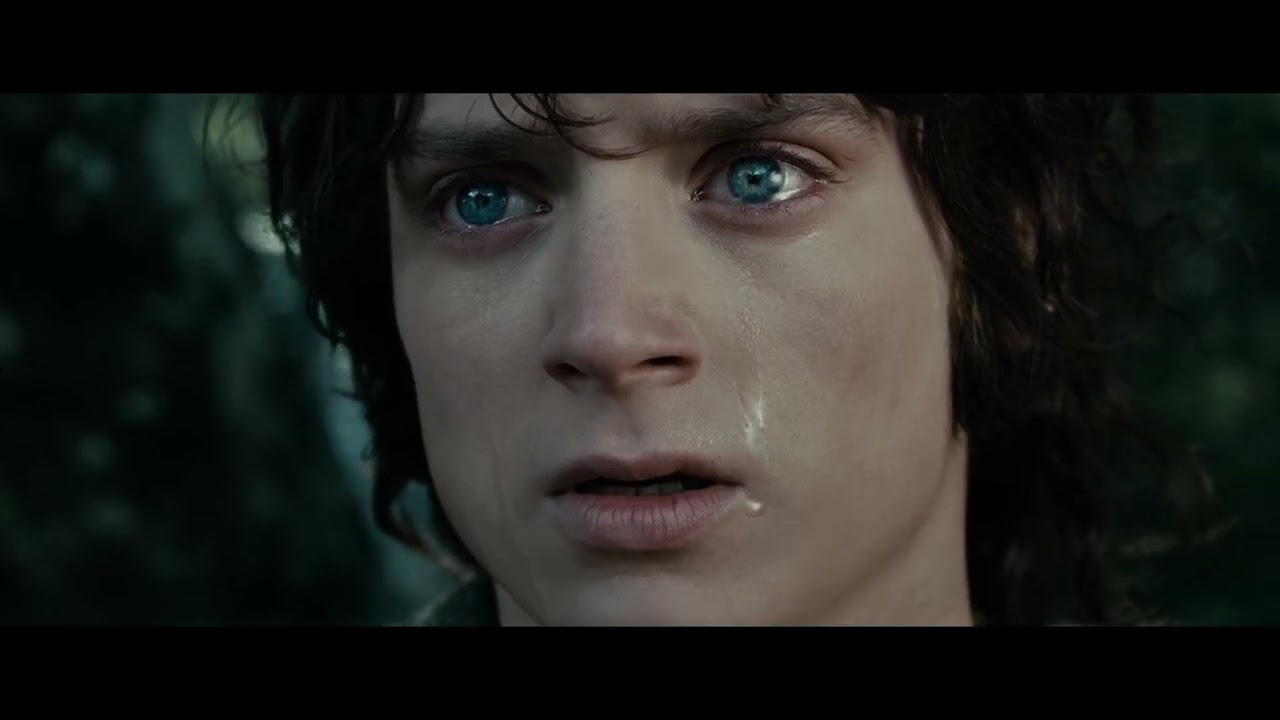 LOTR The Fellowship of the Ring - The Breaking of the Fellowship Part 1
