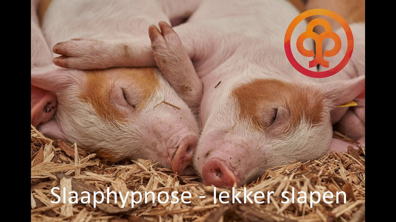 Slaaphypnose: Lekker diep slapen en slaapproblemen oplossen.