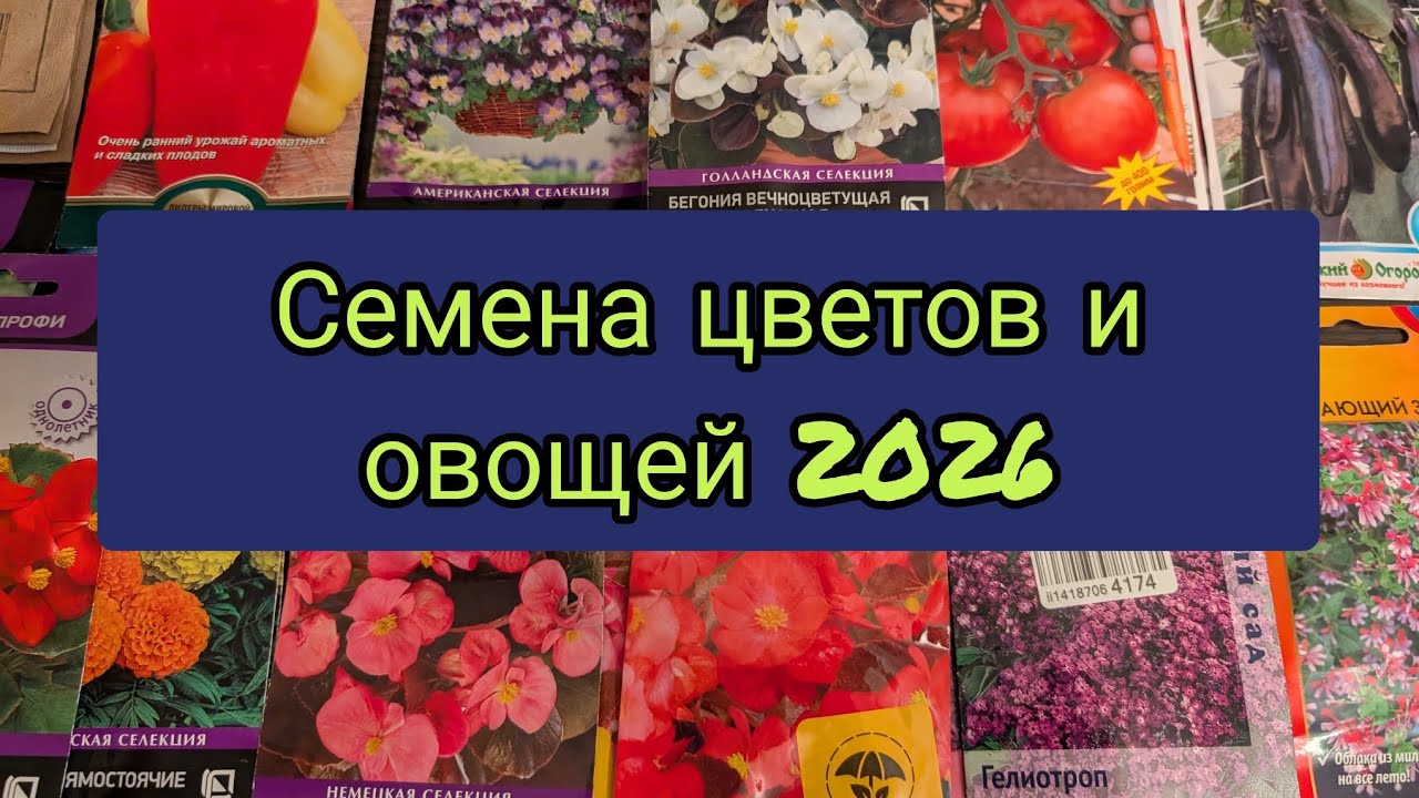 Обзор семян цветов 