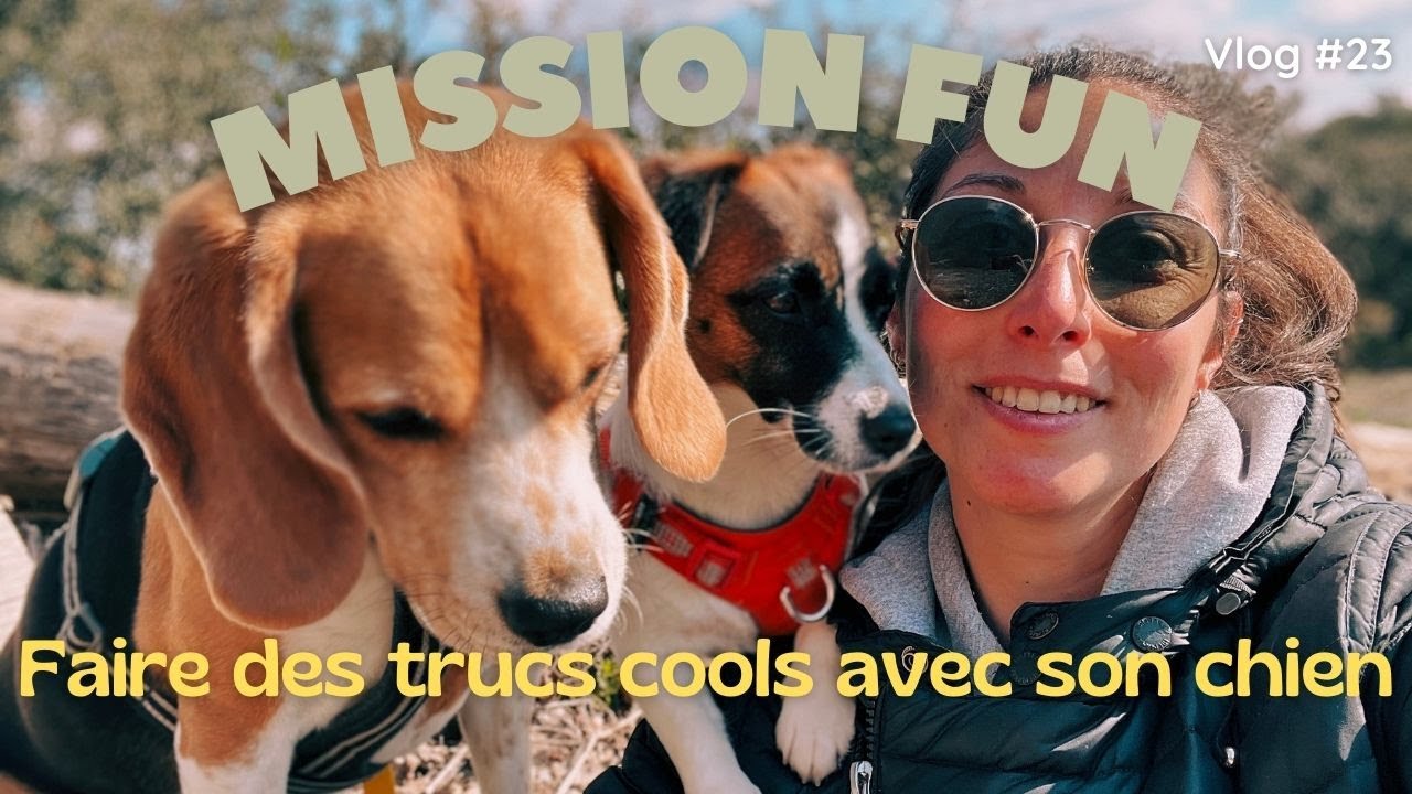 Une semaine de reprise remplie d&rsquo;activit&eacute;s canines #VLOG23