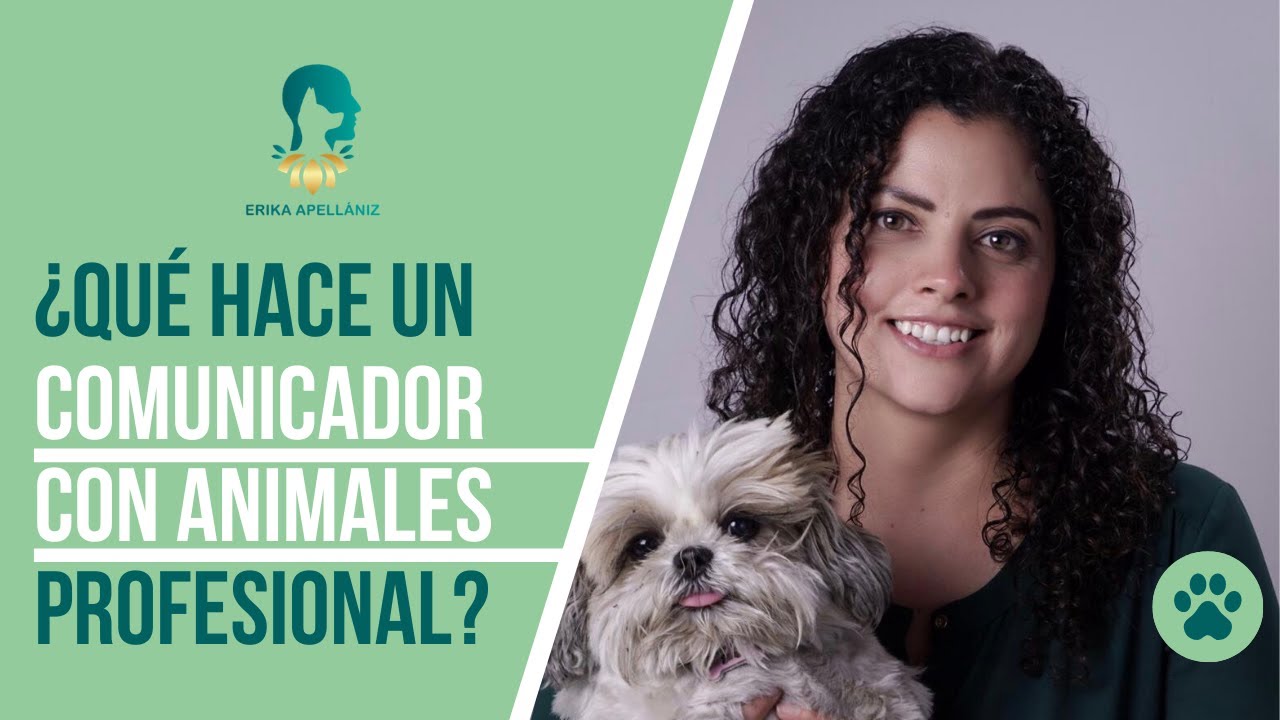 Comunicaci&oacute;n con Animales - &iquest;Qu&eacute; hace un Comunicador con Animales?