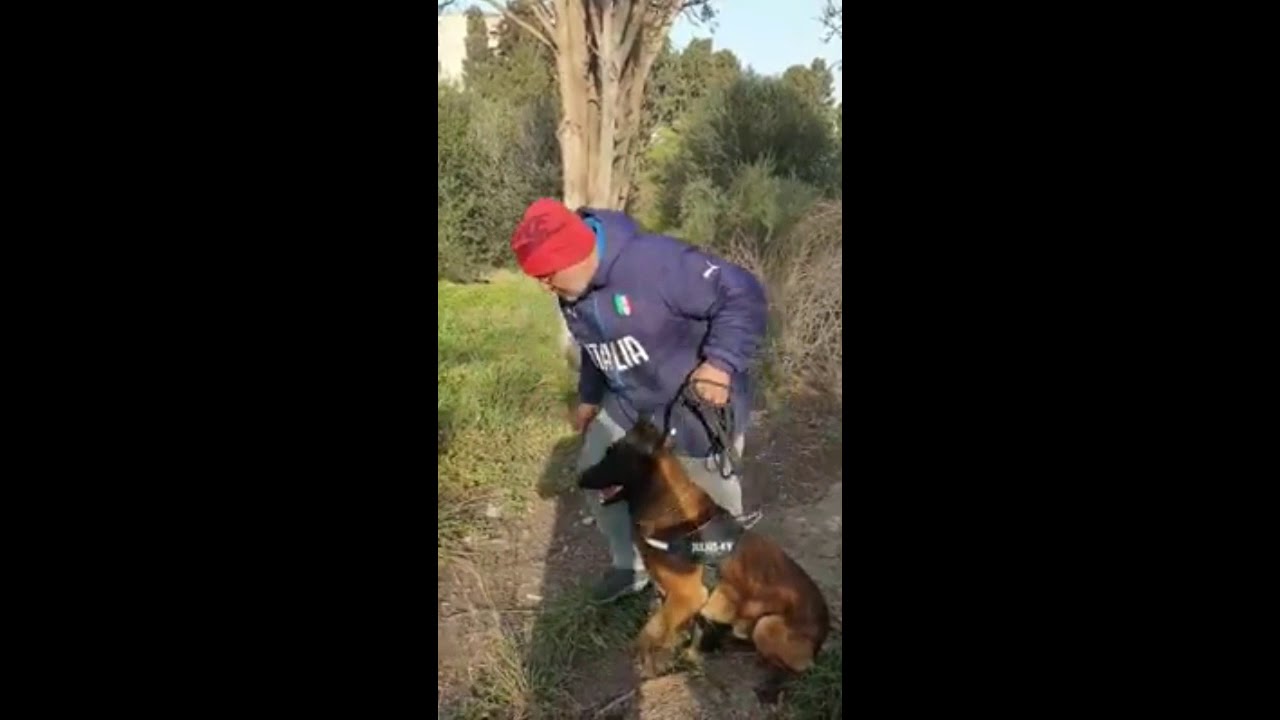 Sniper Cherche y Aboie Video 02