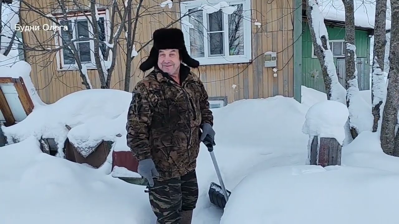 ПРОДАЛ ШКУРУ КУНИЦЫ ПО ХОРОШЕЙ ЦЕНЕ. ЛОСИ ПРИШЛИ К СЕЛУ, ХОДЯТ КАК ДОМАШНИЕ. 15.01.26