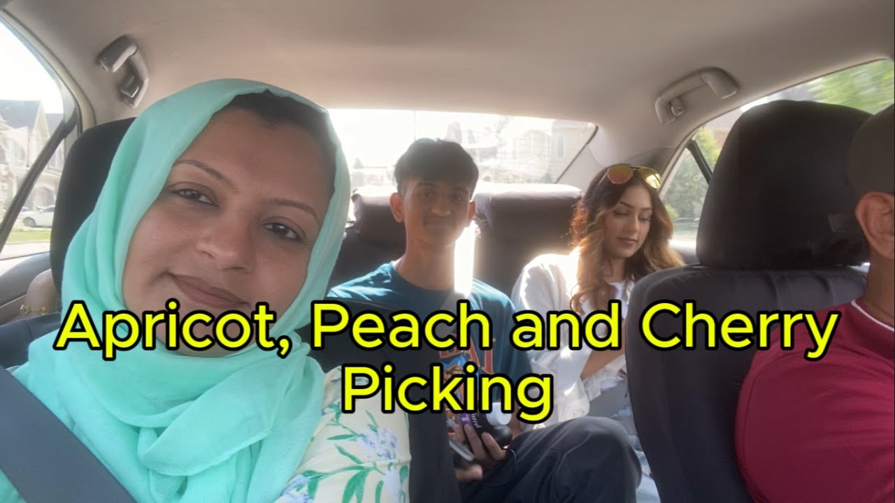 Apricot, Peach and Cherry Picking with my family at Cherry Avenue Farm.