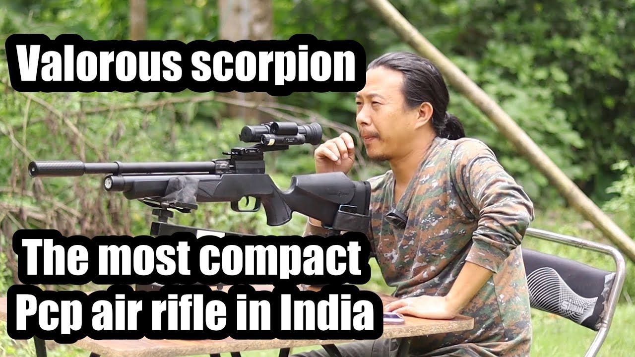 Shooting review of Valorous SCORPION 🦂 at 30 meters