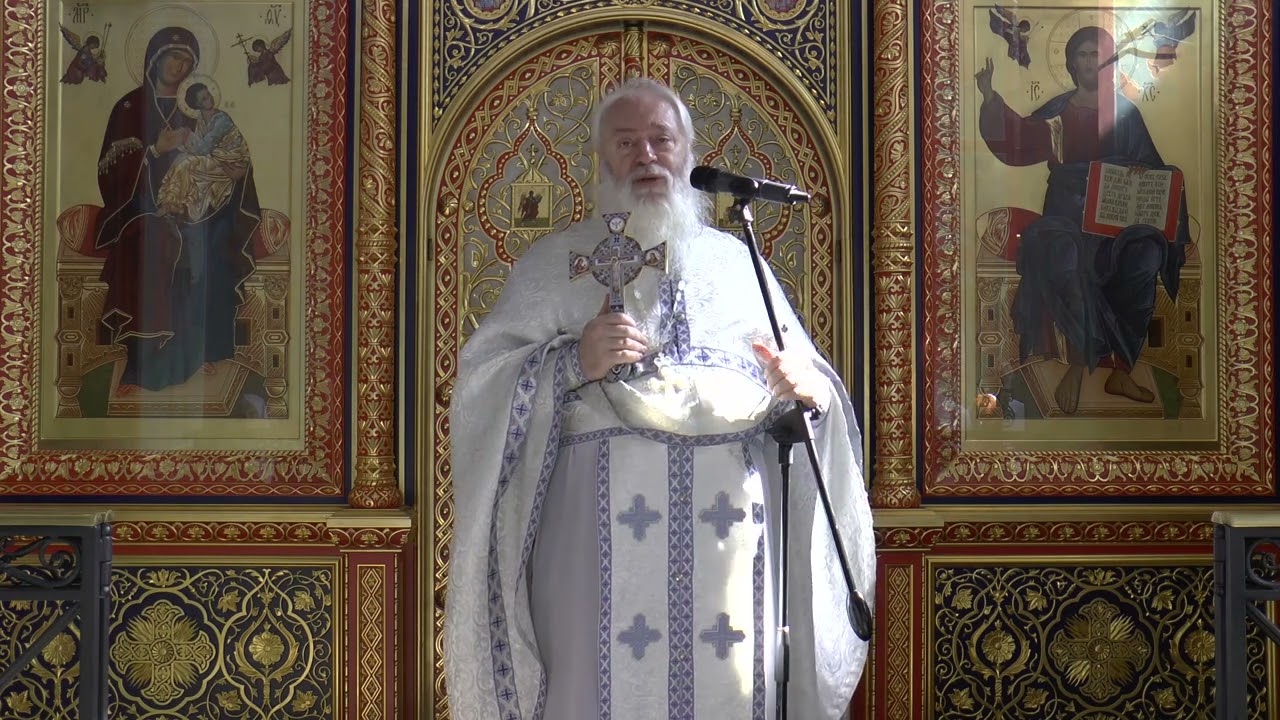 1034. Многолетние обиды. Прот. Сергий Филимонов