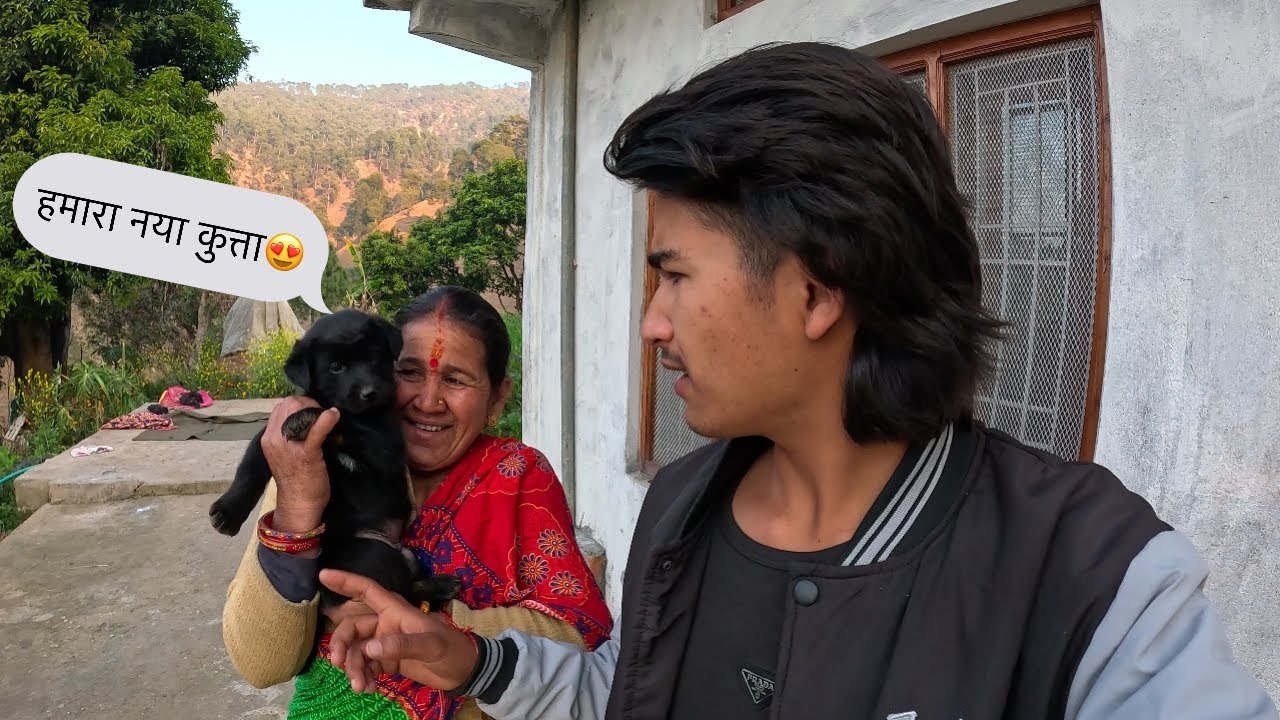 हमारे घर मैं आया नया कुत्ता😍,आते ही कर दिया मूड ख़राब😒।Pahadi lifestyle vlog,Mr baaz 