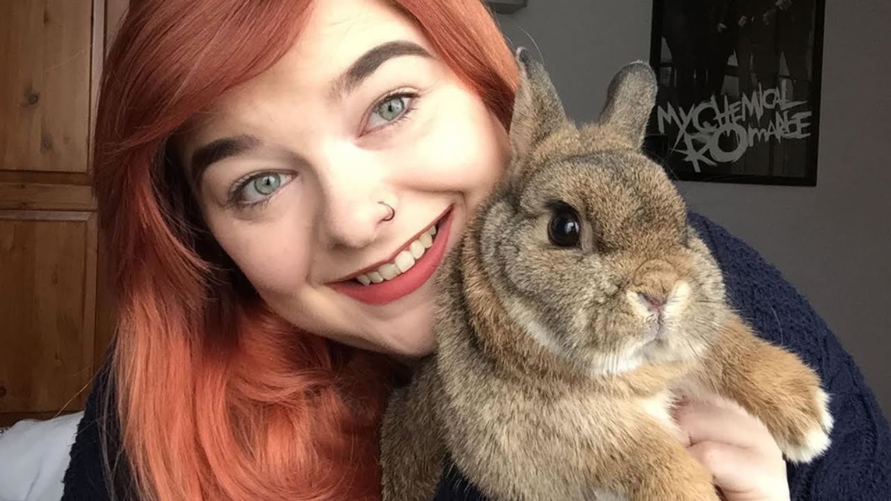 Meet My Netherland Dwarf Rabbit Todd | Pet Tag