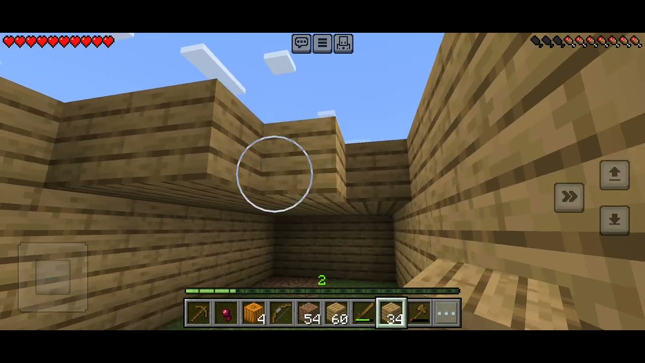 another video of me and my little brother surviving in minecraft