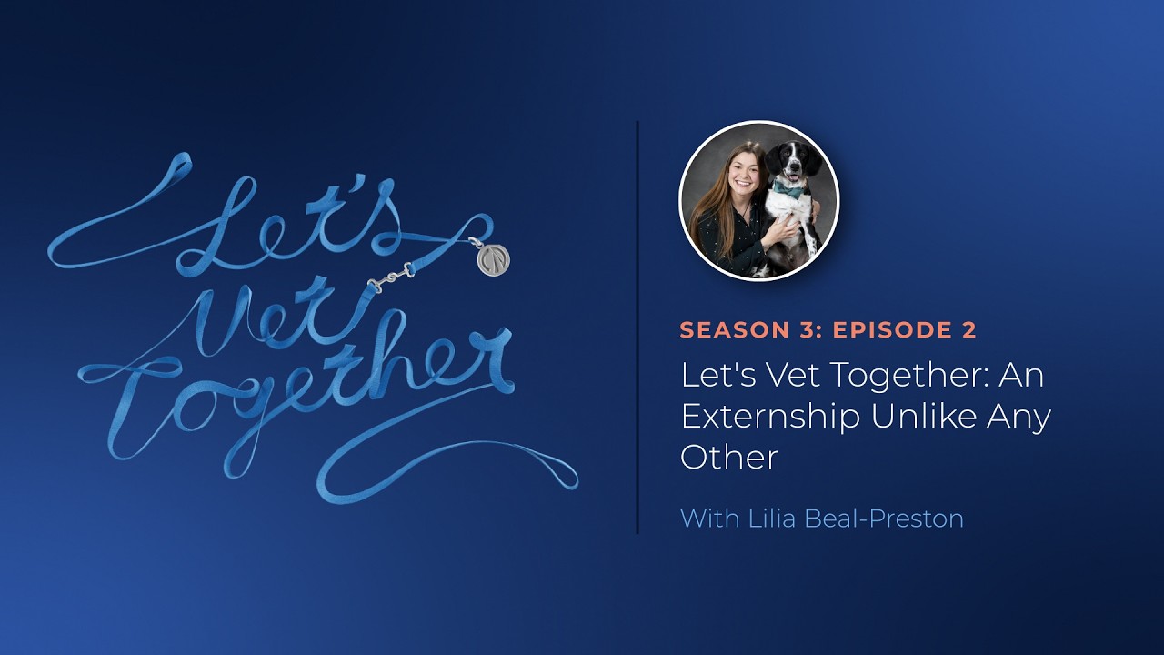 Let's Vet Together: An Externship Unlike Any Other