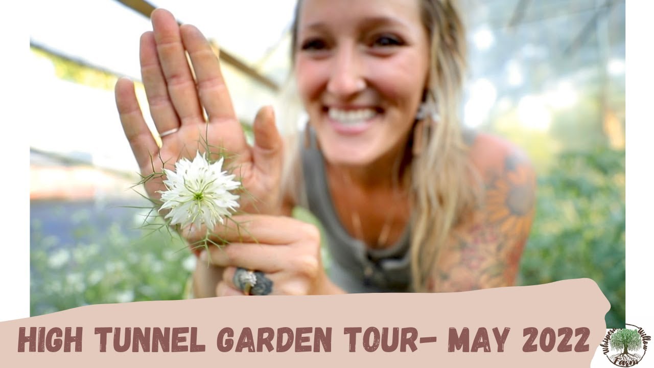 First High Tunnel Garden Tour |May 2022|Whispering Willow Farm