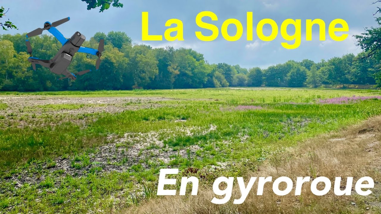La Sologne en gyroroue (skydio 2+)
