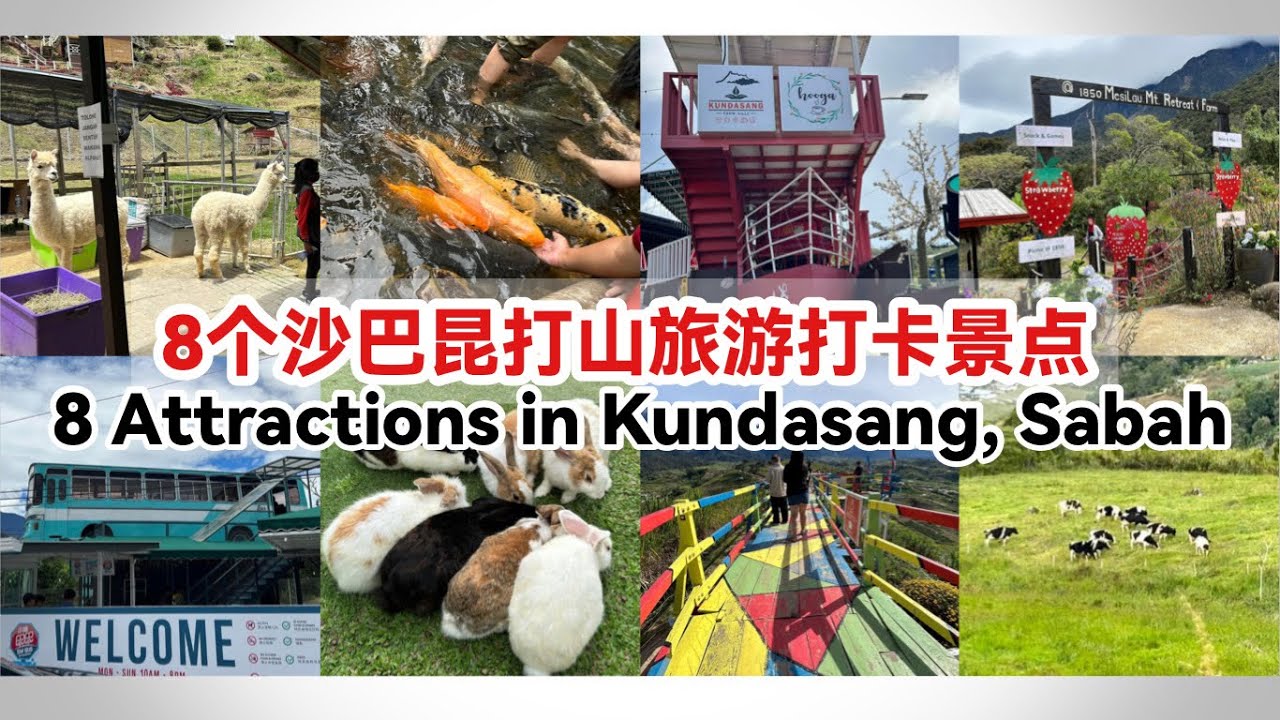 8 Tourist Attractions in Kundasang, Sabah | 8个沙巴昆打山旅游打卡景点