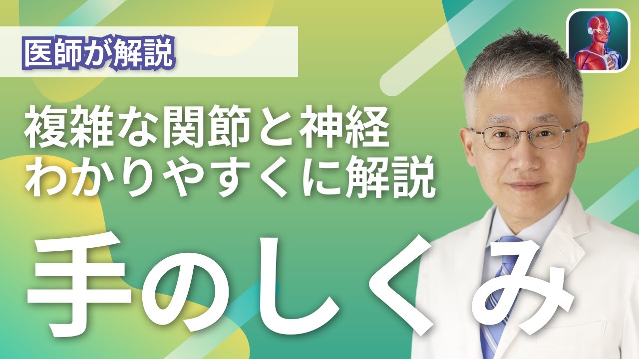 【医師が解説】手の構造と仕組みについて
