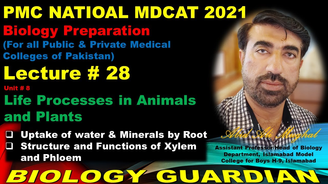 Lecture 28 Biology PMC National MDCAT 2021 | Transport In Plants By Abid Ali Mughal