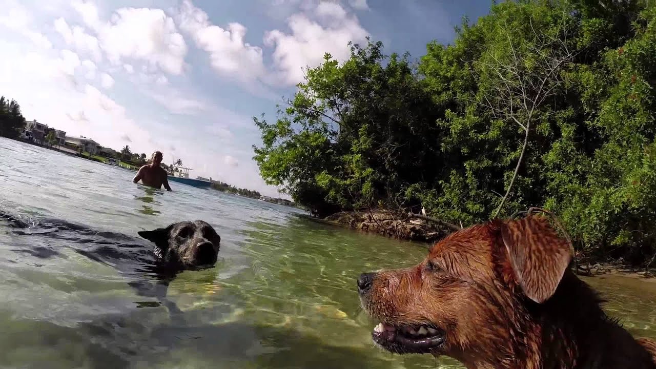 Paddle Boarding in Jupiter Florida