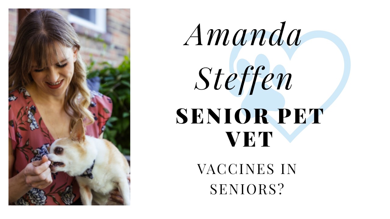 Senior Pet Vet -Are Vaccines in Seniors Still Necessary?