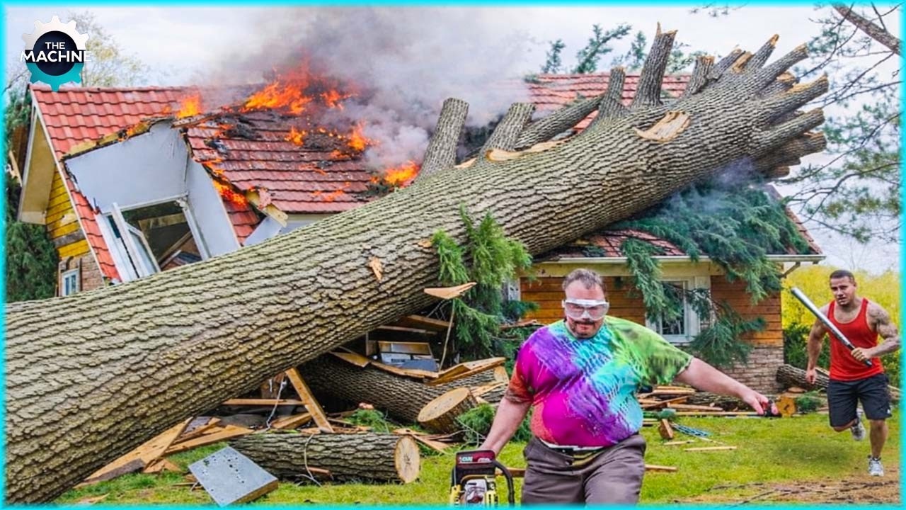 Extreme Dangerous With Chainsaws Tree Cutting Fails | Heavy Machinery