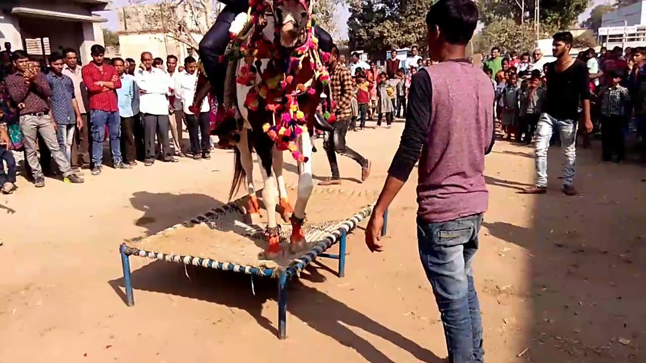 Fouji horse dance