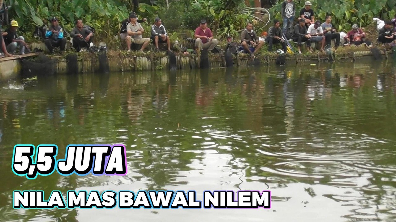 🎣 Mancing Ceria: 25 Pemancing !! Ikan Melimpah, Dompet Tetap Aman!