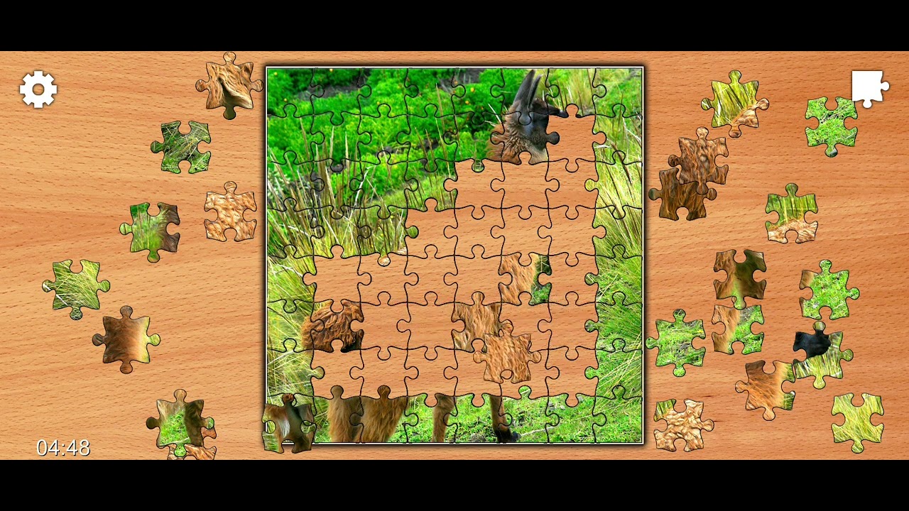 Jigsaw Puzzle Cute Llama Solution 🧩🗝️🦙🎮 🎯 🦌@Puzzlegameiq123##