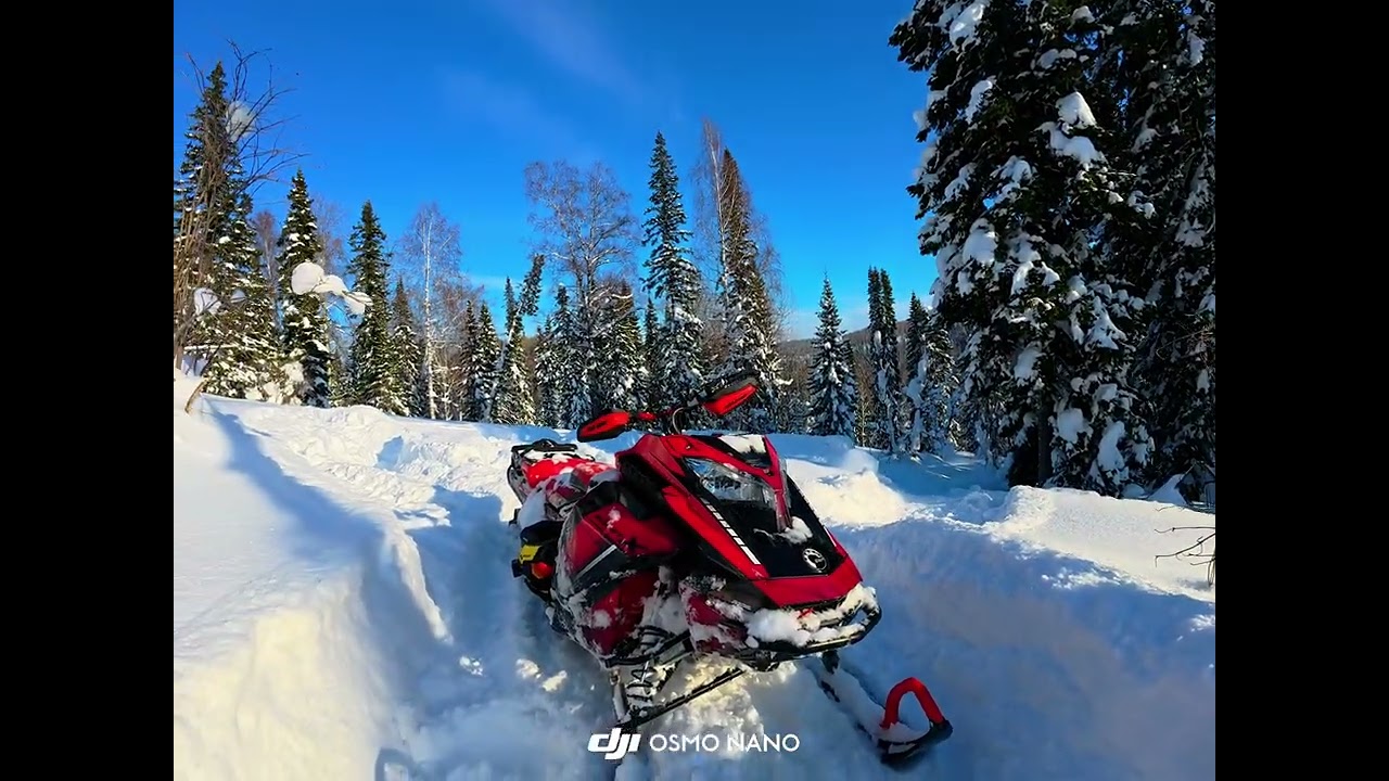 Зеленогорск