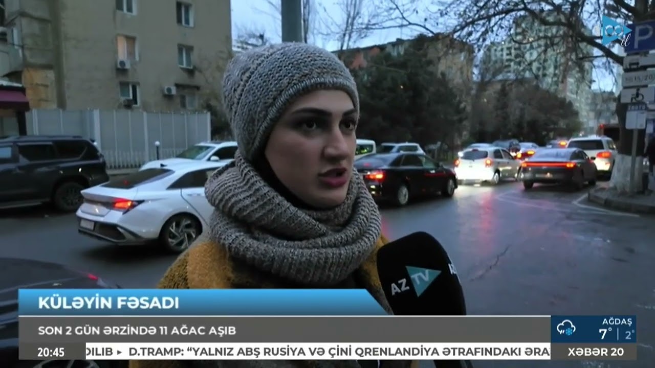 Güclü külək yenə ağacları aşırdı: əhali üçün təhlükə yarandı - Aztv