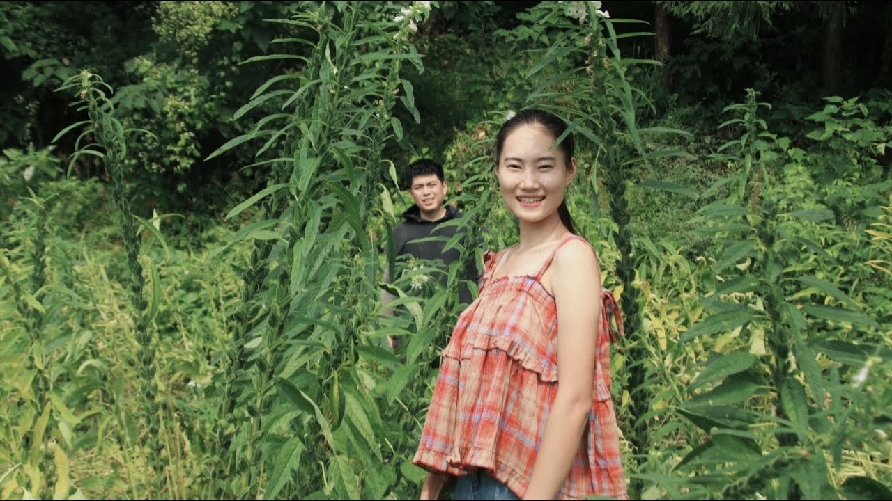 Harvesting And Storing Sesame Seeds! 🌱 Peanut Porridge｜Couple's Pastoral Life in Sichuan