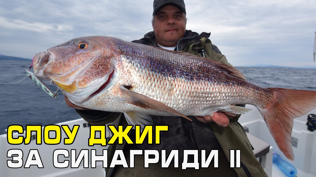 Слоу джиг за синагриди - 2 част / Slow jig for dentex