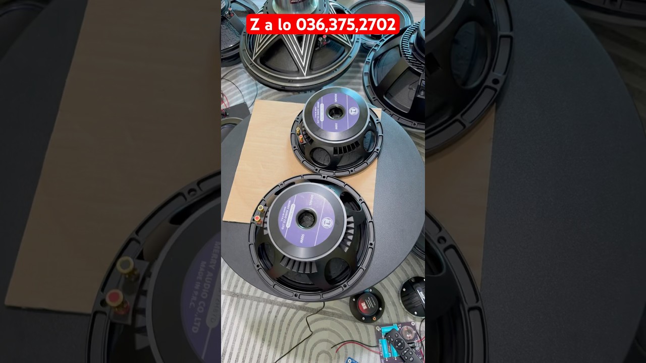 Xả loa bass 25, bass 30 merry từ 170 coil 76