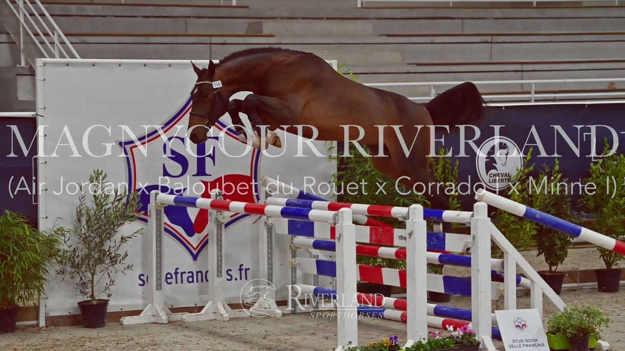 MAGNYCOUR RIVERLAND - RIVERLAND STALLIONS 2026