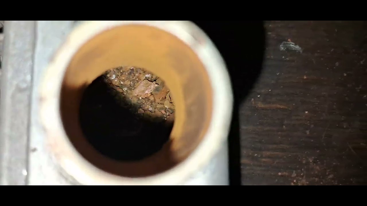 Kawasaki ninja 250R tirada a carenagem más olhar oque eu encontrei no Radiador. 