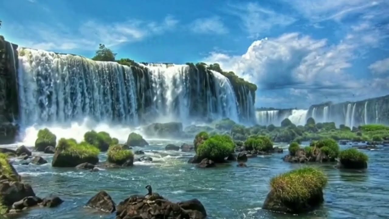 Nature Video Enjoy the peaceful beauty of nature with stunning connect with nature. 🌲🌿🏔️