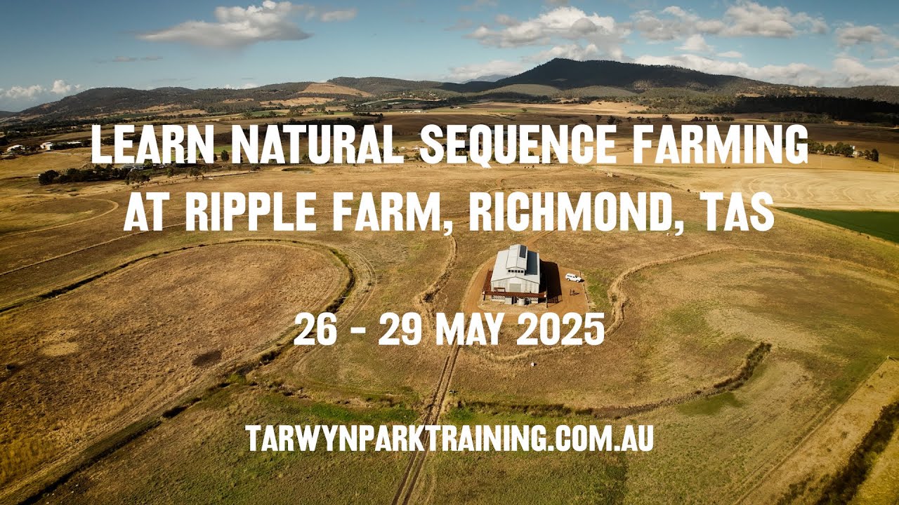 Making a splash with NSF at Ripple Farm, Tasmania