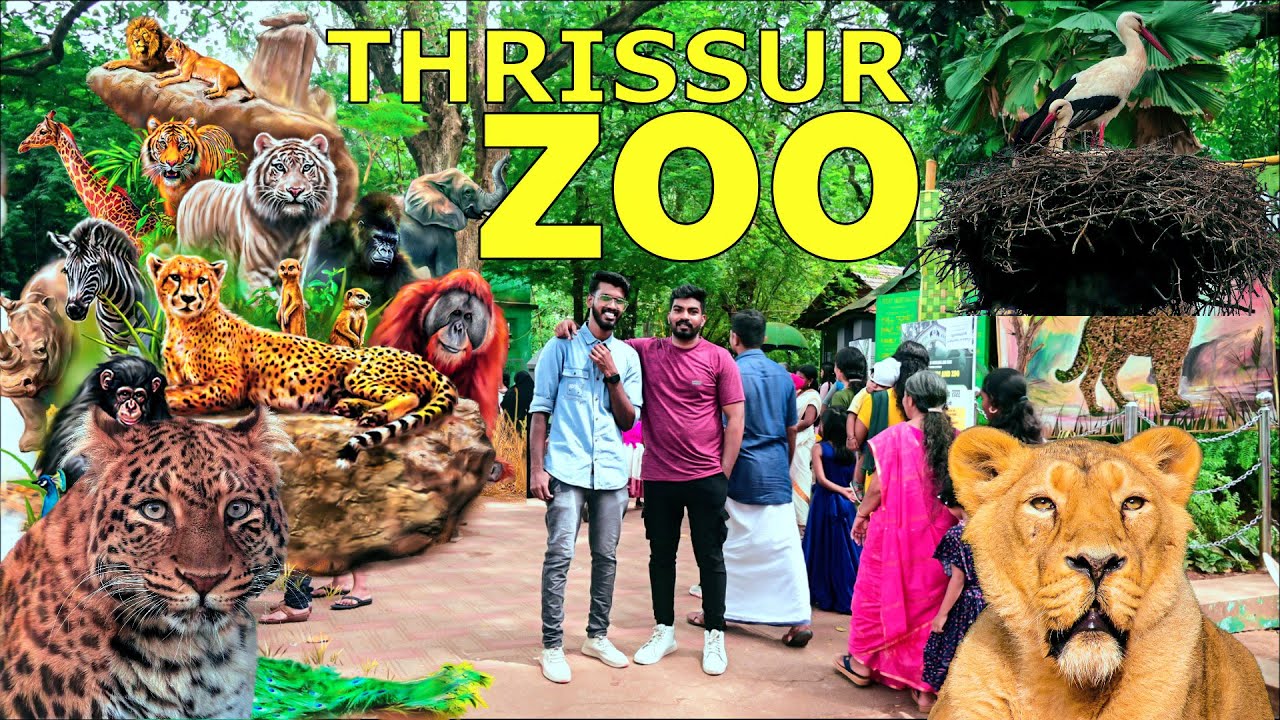 Thrissure zoo | New Animals | Kerala Vlogs Channel