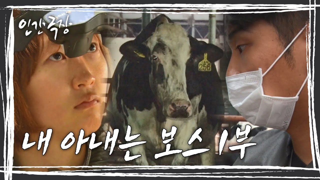 [인간극장] 수의사 아내와 함께 쓰는 건학 씨의 성장일기! '내 아내는 보스' 1부 KBS 방송