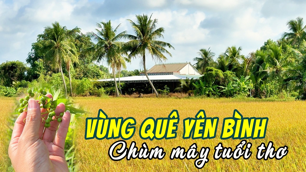 Khám Phá Vùng Quê Hẻo Lánh Bình Yên, Nay Đây Mai Đó Bằng Nghề Nuôi Vịt Chạy Đồng
