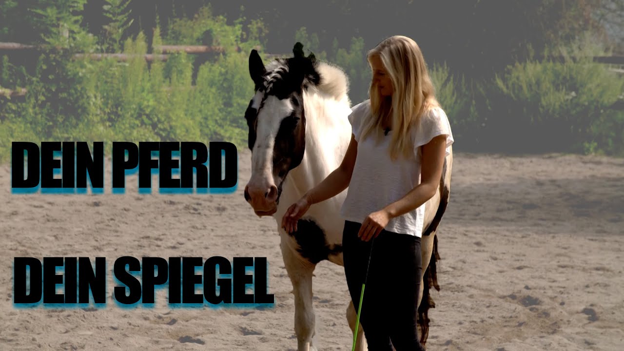 Pferdesprache lernen - Spiegelt Dich Dein Pferd?