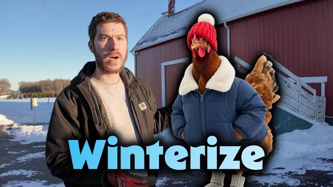 Attempting To Winterize Our Chickens, Regeneratively