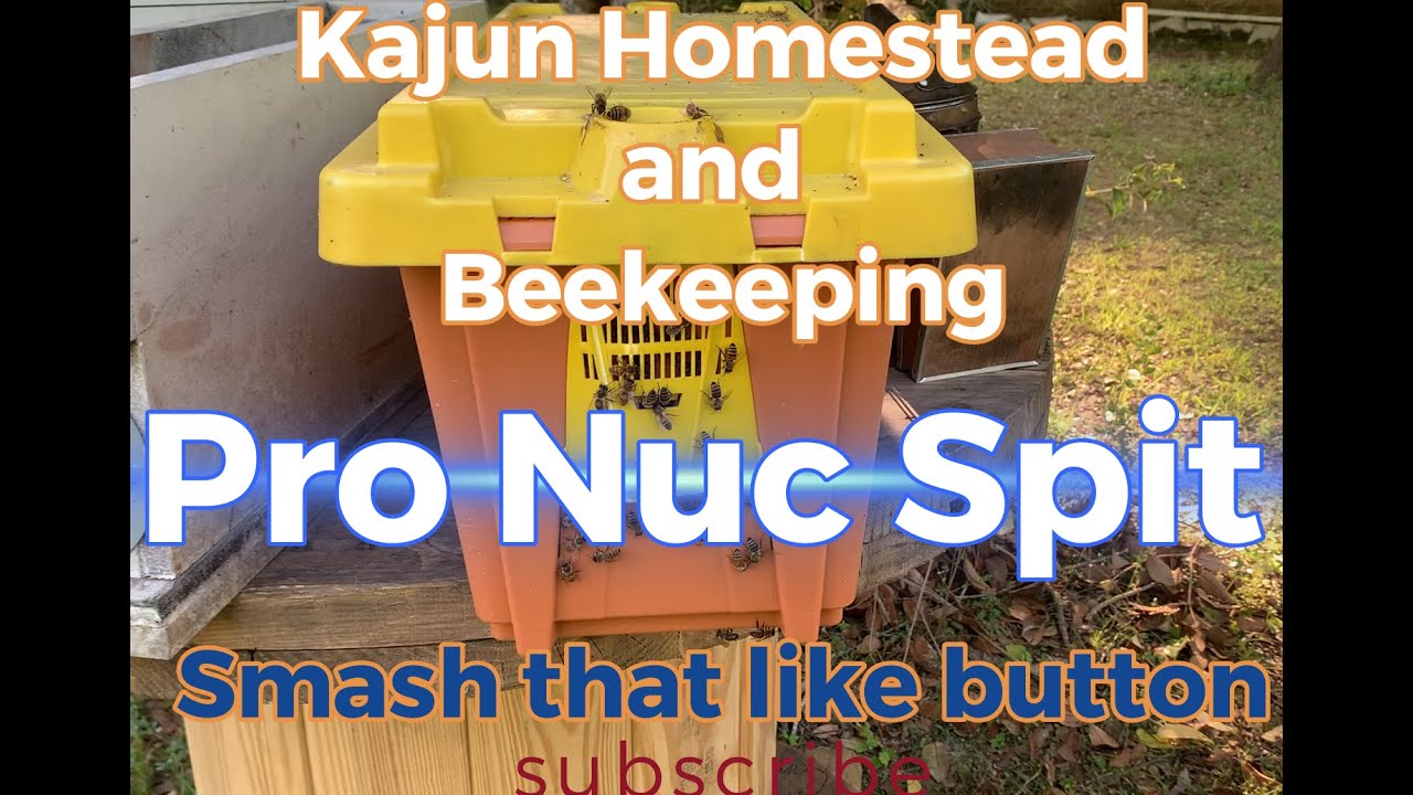 Pro Nuc Split  #Makingsplits #beekeeping #bees #beekeeper #ProNuc #walkawaysplit