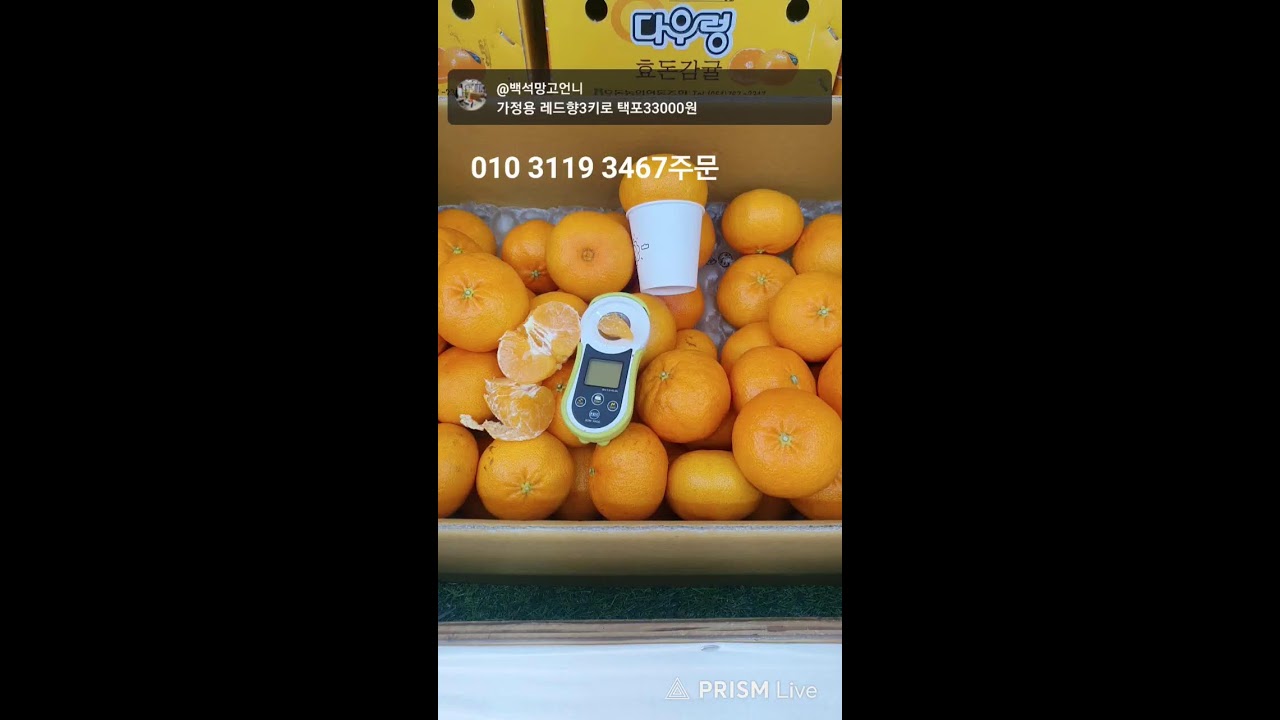 가정용레드향 공샘이귤팔아용~^^