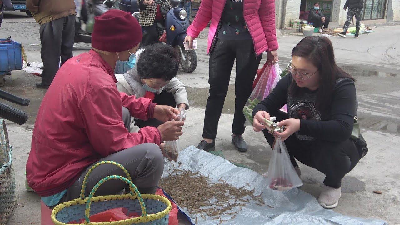 小池半夜赶海趁早摆地摊，甜水靓姐成群来抢购，抓多少都不够卖