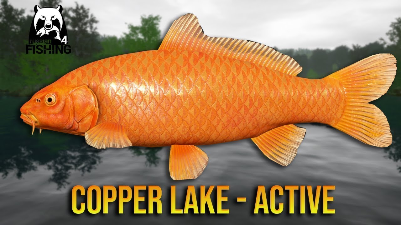 Russian Fishing 4 (RF) Copper Lake  Rare Fish Spot - 1H - 800 silvers