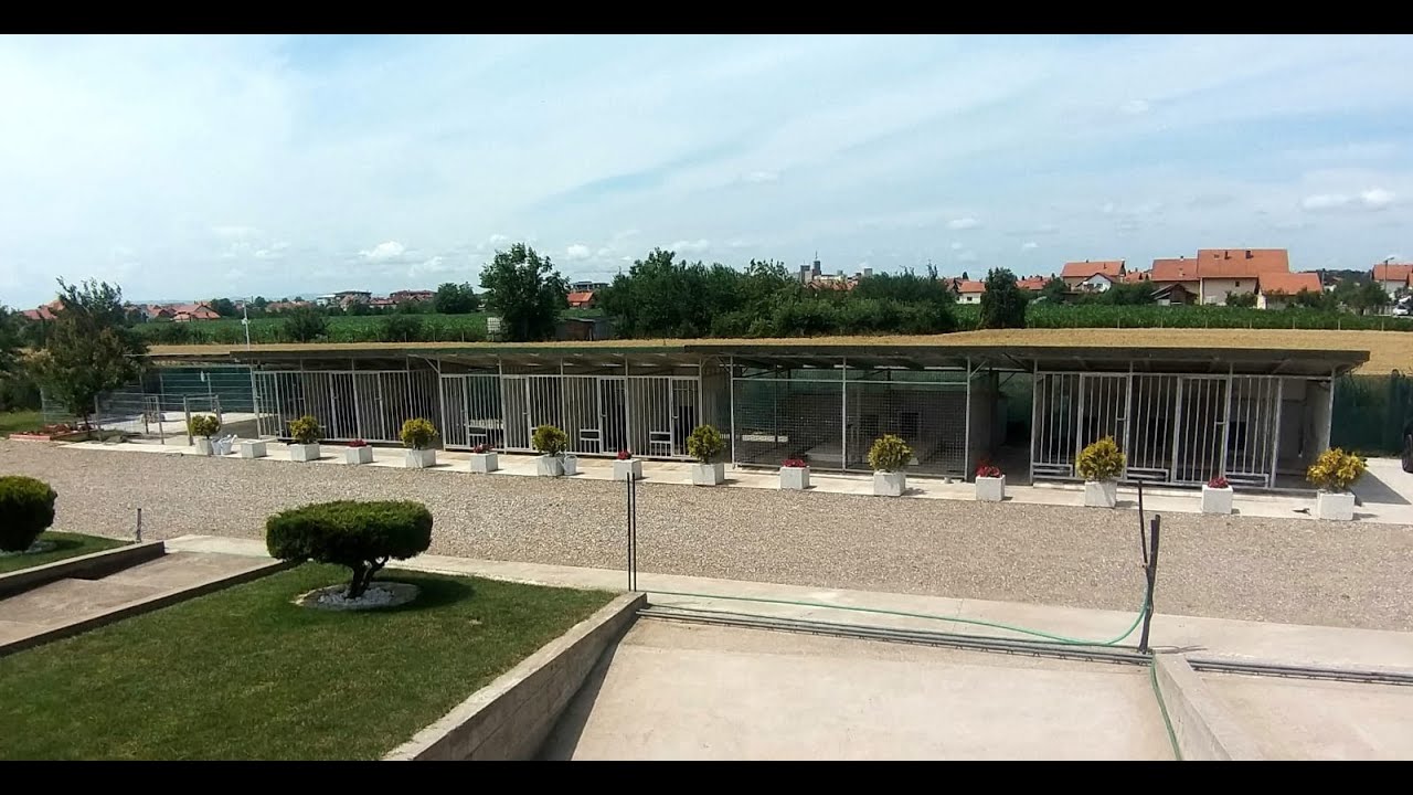 Royal Kennel odgajivačnica Francuskih buldoga i Cane Corso BN TV 2022 HD