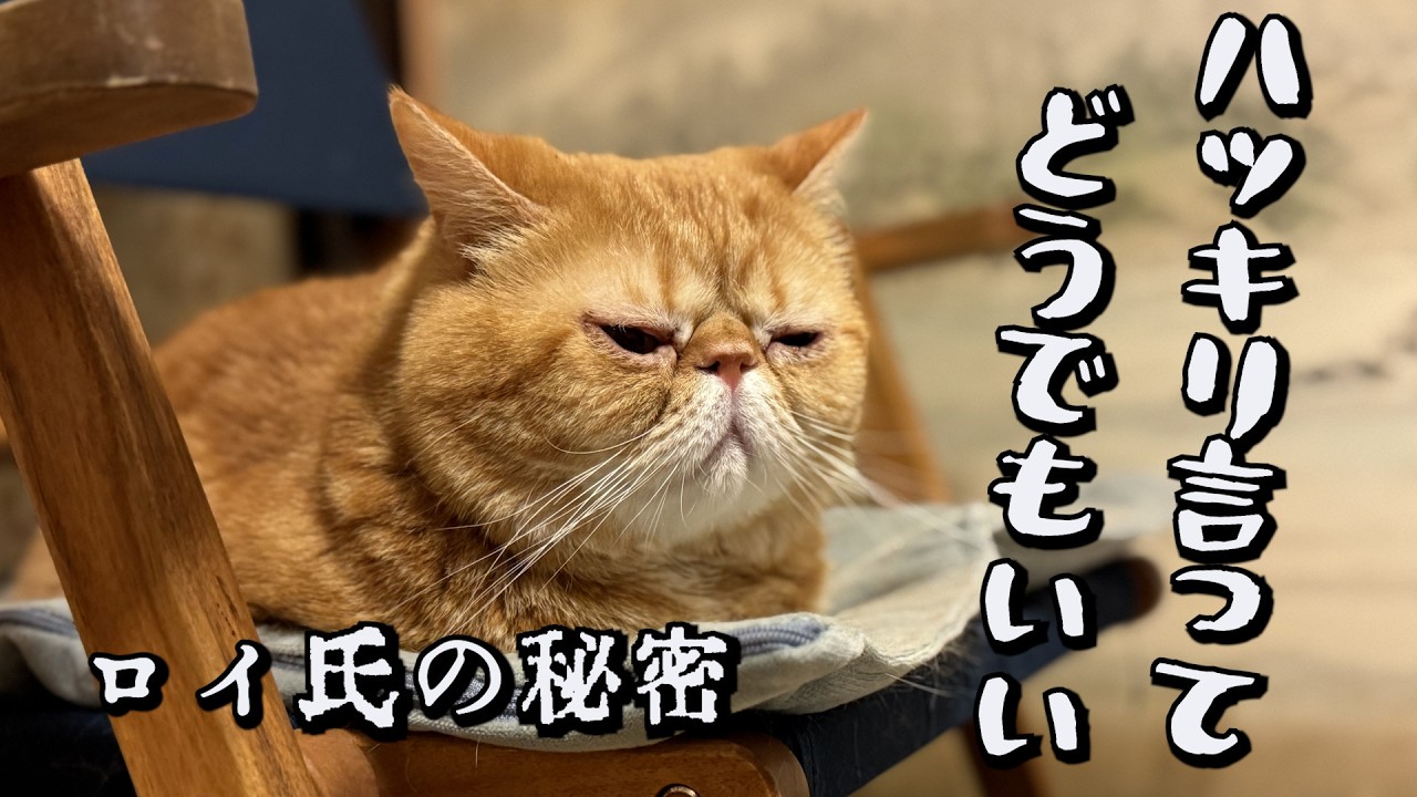 でもなんで？気になる…