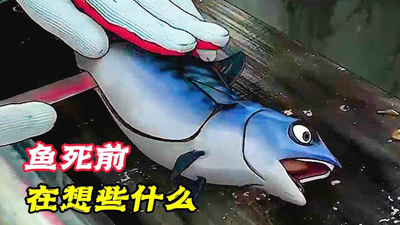 這條小魚在臨死前，居然有話要說，其他的魚都驚呆了！奇幻動畫電影《啪啪啪聲》。電影，短片，成精，解說，搞笑，動畫，動作，喜劇，獵奇，奇幻，腦洞，科幻，超能力，short film