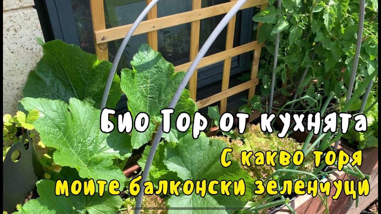 С какво наторявам моите зеленчуци
